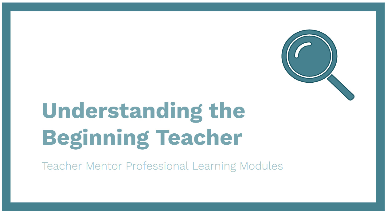Understanding the Beginning Teacher